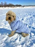 Baby Blue Comfy Köpek Montu, Köpek Ceketi, Köpek Dış Giyim
