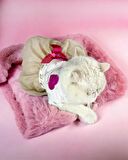 Creamy Fuschia Tütülü Kedi Elbisesi, Kıyafeti Tutu
