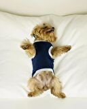 Navy Sports Atlet Köpek Kıyafeti  Köpek Elbisesi