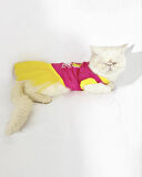 PINK Love Mom Tütülü Kedi Elbisesi, Kıyafeti Tutu