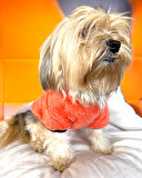 Turuncu İkizler Kapşonlu Sweat by Kemique Köpek Kazağı 