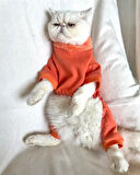 Puanti Kalın Penye Kedi Tulum Pijama