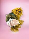 Pink Shine Kemique's Secret Köpek İç Çamaşırı Regl Külot Don