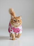 Pinky Love Polar Kedi Tulumu Pijama