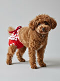 Red Frilly Dişi Köpek Regl Külotu | Köpek Donu | Köpek İç Çamaşırı | Ayarlanabilir Bağcıklı | Küçük Irklar İçin