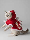 Santa's Bag Yılbaşı Kedi Kıyafeti Premium Kırmızı Polar | Kapüşonlu Noel Kedi Kostümü | Kurabiye Temalı