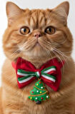 Yılbaşı Ağacı Kedi Papyon Tasması | Kırmızı Fiyonk Boyun Aksesuarı | Noel Temalı Kedi Süsü