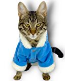Blue Furry Kapşonlu Sweatshirt Ceket Kedi Süeteri Kıyafeti 