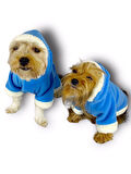 Blue Furry Kapşonlu Ceket Sweat by Kemique Köpek Kazağı 