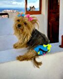 Blue Tufty Kemique's Secret Köpek İç Çamaşırı Regl Külot Don