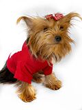 Cute Rudolph Köpek Tişörtü