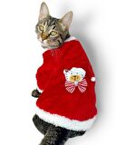 Cat SantaBow Yılbaşı Kedi Sweati