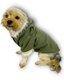 Furry Cream Kapşonlu Ceket Sweat by Kemique Köpek Kazağı 