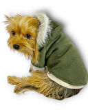 Furry Cream Kapşonlu Ceket Sweat by Kemique Köpek Kazağı 