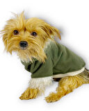 Furry Cream Kapşonlu Ceket Sweat by Kemique Köpek Kazağı 