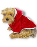 Gold Santa Yılbaşı Köpek Sweatshirt, Noel Sweatshirt