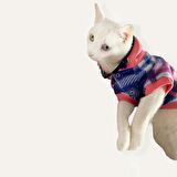 Mini Suqare Pie Kapşonlu Sweatshirt Ceket Kedi Süeteri Kıyafeti 
