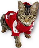 Kırmızı Adidog Kapşonlu Kedi Sweatshirt Kedi Kazağı Duo 