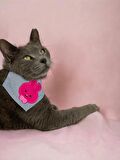 Pink Bunny Kedi Bandana, Fular, Kedi Kıyafeti Kedi Elbisesi, Kedi Tasması