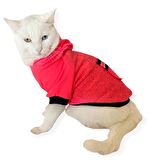 Pink Stars Kapşonlu Sweatshirt  Kedi Kıyafeti 
