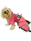 Pinky Rabbit Sweatshirt Kapşonlu Kedi Kıyafeti Kedi Sweatshirt