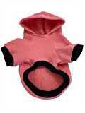 Student Rabbit Sweatshirt Köpek Kıyafeti Köpek Elbisesi