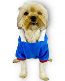 Sweet Blue Rabbit Kapşonlu Sweatshirt Köpek Kıyafeti Köpek Elbisesi 