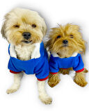 Sweet Blue Rabbit Kapşonlu Sweatshirt Köpek Kıyafeti Köpek Elbisesi 
