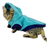 Kemique Team Sweatshirt Kedi Kıyafeti Kedi Elbisesi