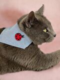 Uğur Böceği Kedi Bandana, Fular, Kedi Kıyafeti Kedi Elbisesi, Kedi Tasması