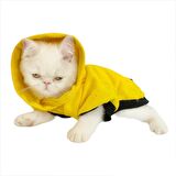 Yellow Lux Duo Sweatshirt Kapşonlu Kedi Kıyafeti Kedi Sweatshirt