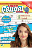 Fenomen Çengel Bulmaca 17
