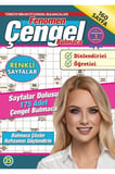 Fenomen Çengel Bulmaca 25