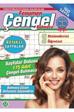Fenomen Çengel Bulmaca 22