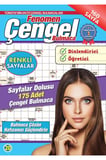 Fenomen Çengel Bulmaca 20
