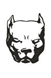 Pitbull Duvar Dekor Sticker 40 x 48 cm