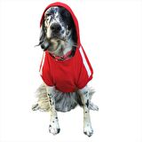 Kırmızı Kapşonlu Sweatshirt, Orta ve Büyük Irklar İçin