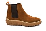Dexter KO5036-48