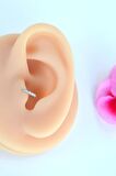 Zirkon İncecik 5 mm Mini Halka Piercing Forward Helix Tragus Piercing Daith Helix