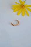 Çok Renkli Halka Conch Piercing Multicolor Helix Kıkırdak Küpesi