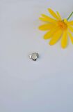 6 mm Mini Halka Çiçekli Piercing Forward Helix Tragus Helix Kıkırdak Gümüş Renk