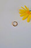 Antik Model Halka Helix Piercing Kıkırdak Küpesi