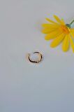 Antik Model Halka Helix Piercing Kıkırdak Küpesi