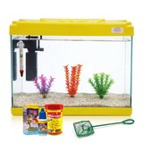 Kanki Pet KP5018 Ekonomik Hazır Set Sarı 50 CM