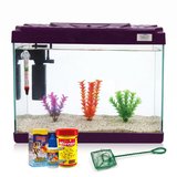 Kanki Pet KP5018 Ekonomik Hazır Set Mor 50 CM