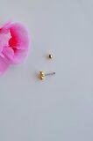 Gold Renkli Taşlı Kurdele Fiyonk Figürlü Piercing Helix Kıkırdak Conch Lob