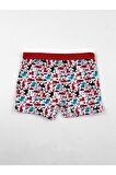 Gümüş Kız Çocuk Desenli Likralı Boxer 3072 - 6 Adet