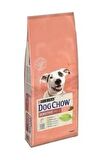 Dog Chow Somonlu Hassas Yetişkin Köpek Maması 14 kg