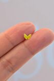 Gold Çelik Sarı Kelebek  Helix Piercing Kıkırdak Lob