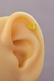 Gold Çelik Sarı Kelebek  Helix Piercing Kıkırdak Lob